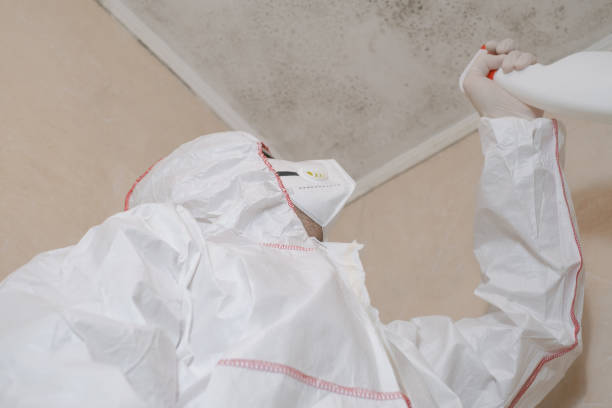 Best Environmental Consulting for Mold Prevention  in Springfield, MN